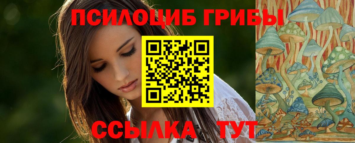 Псилоцибиновые грибы MAGIC MUSHROOMS Гатчина