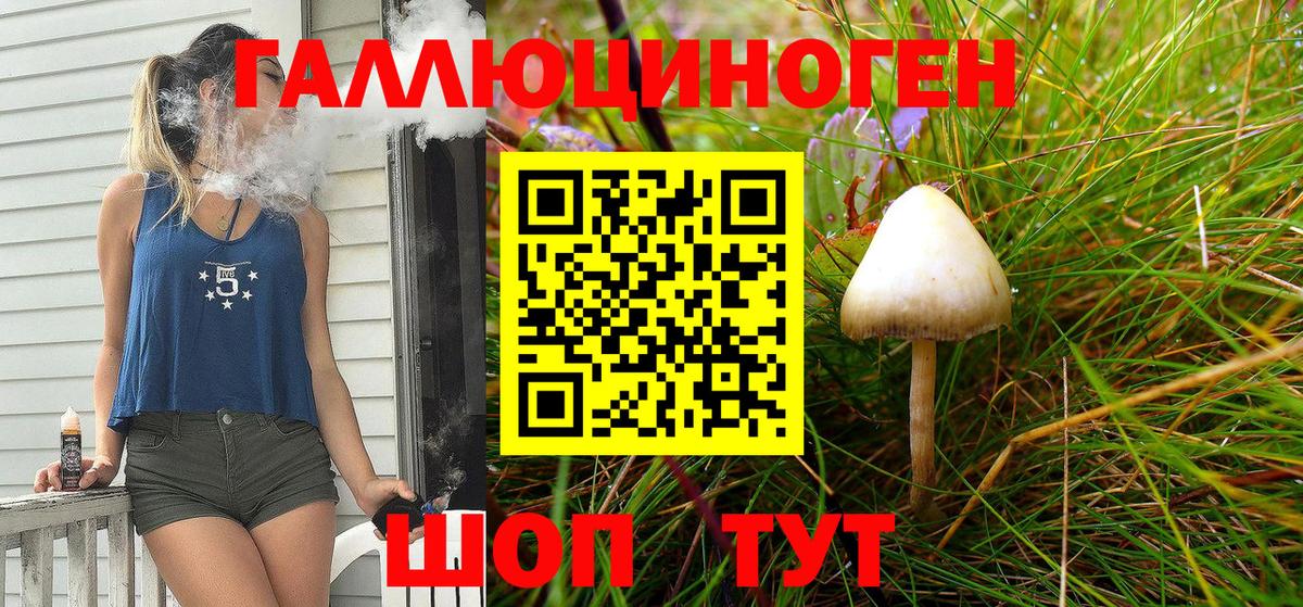Гатчина  Галлюциногенные грибы Magic Shrooms  Галлюциногенные грибы мицелий  Вход с VPN 
